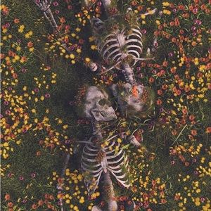 Looking for bands merch